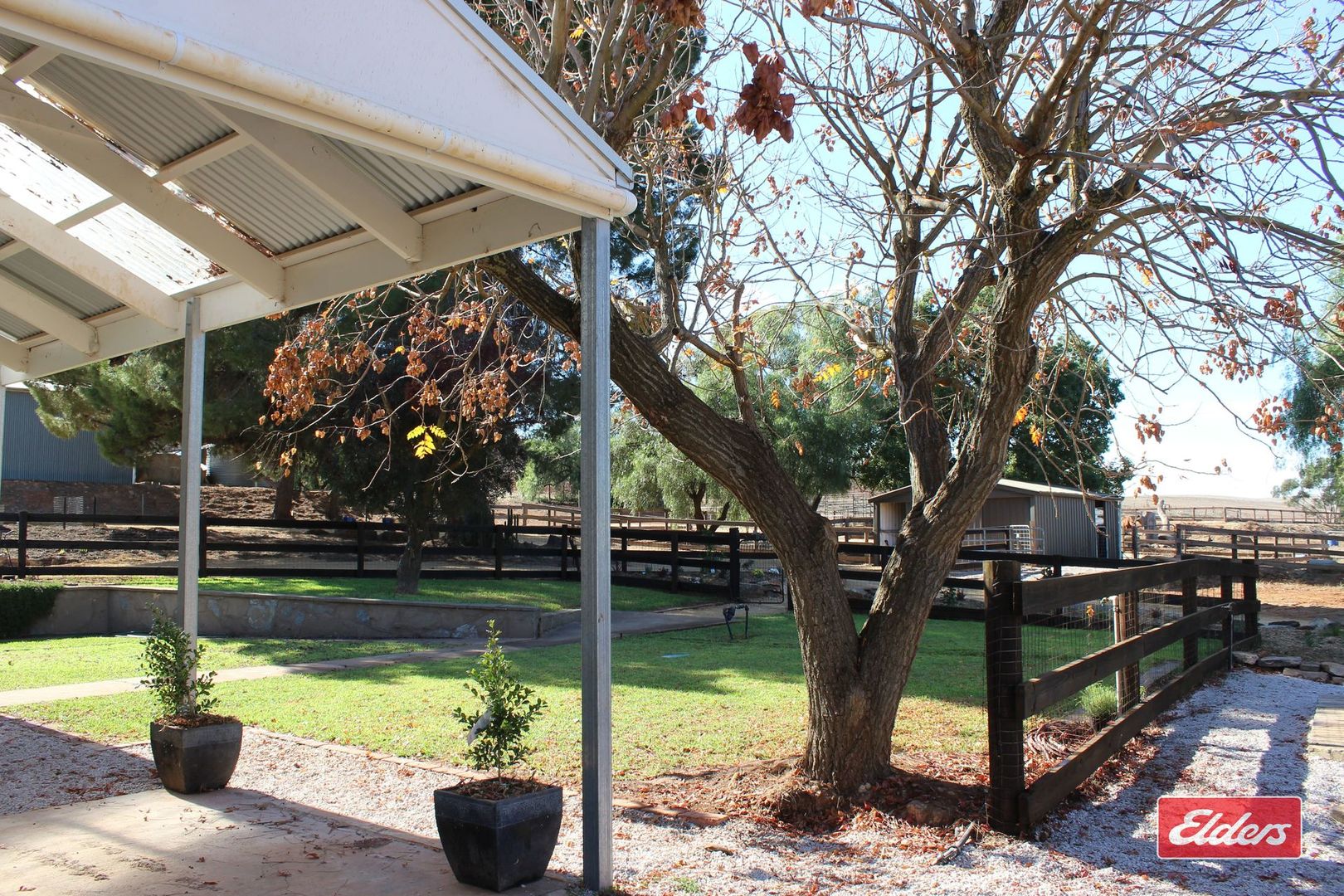 30 Harvey Road, Lyndoch SA 5351 House for Sale Domain