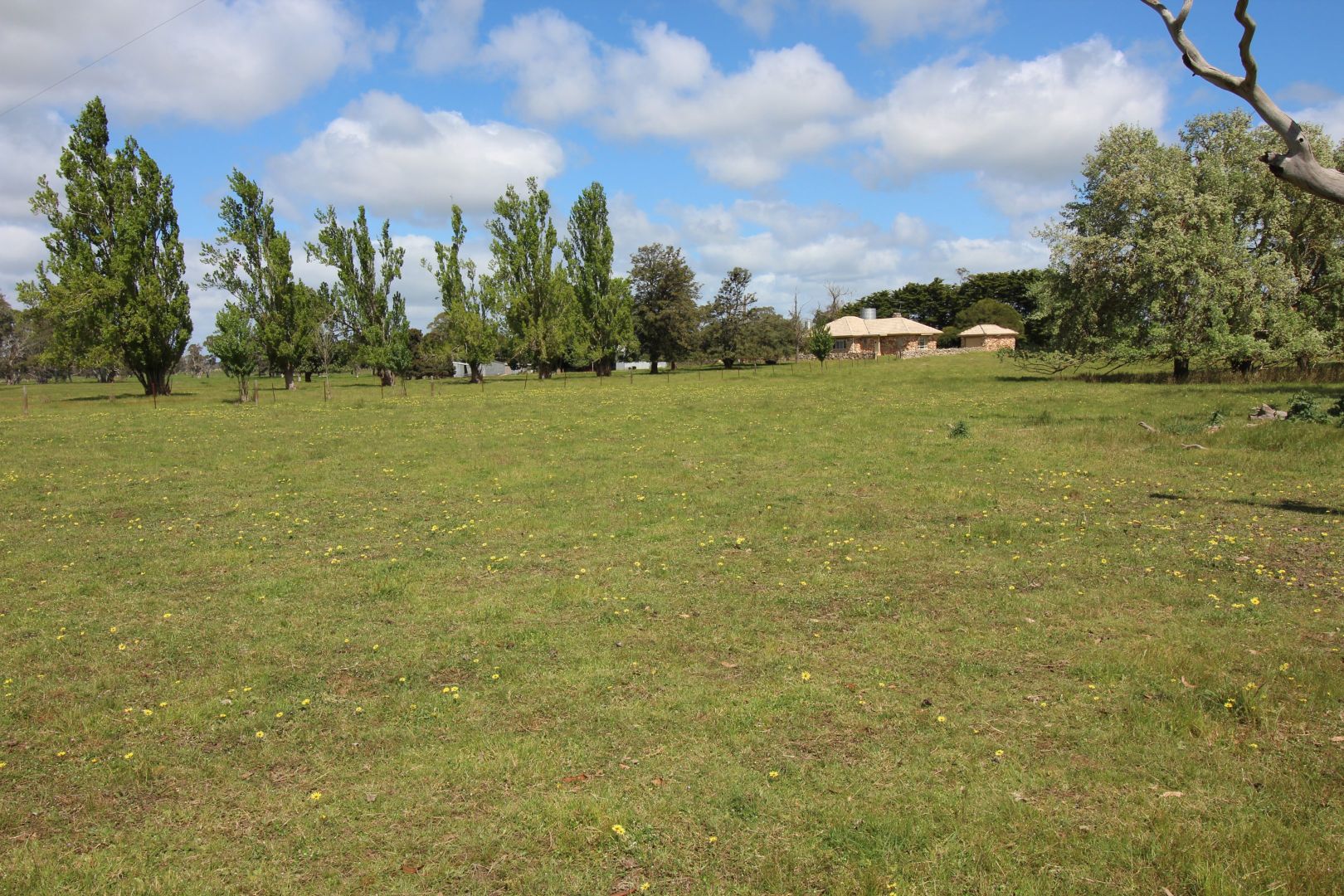 Bridge Road, Naracoorte SA 5271, Image 2