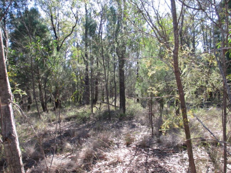 Lot 56, 0 Crosbies Road, GORANBA QLD 4421, Image 2