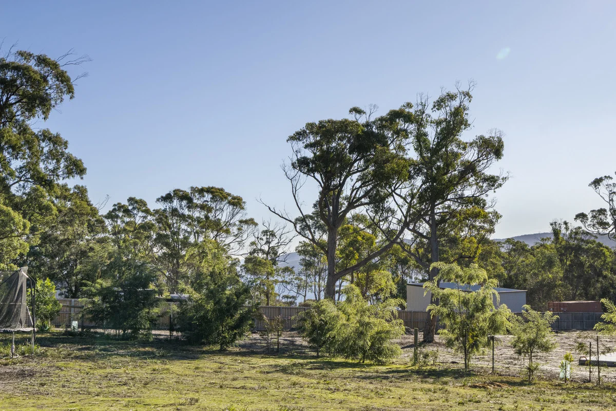 Image 13