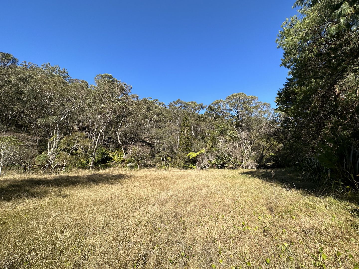 Bangor NSW 2234, Image 1