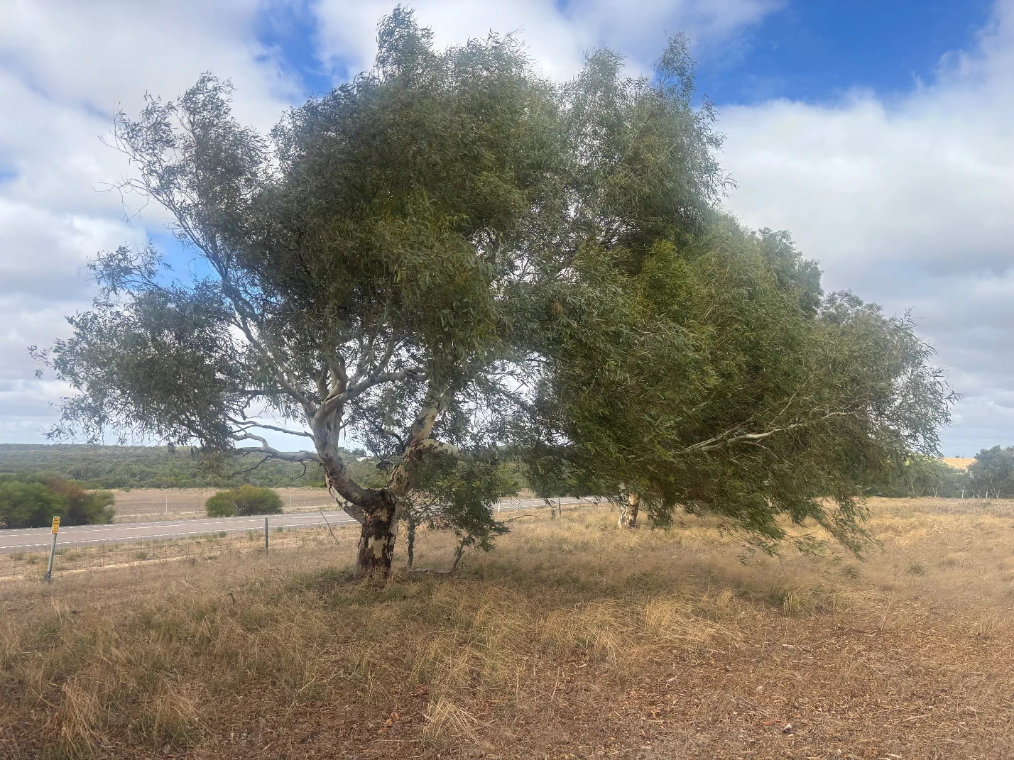 Additional image 8 of Lot 9678 Geraldton Mount Magnet Road, Wicherina WA 6532