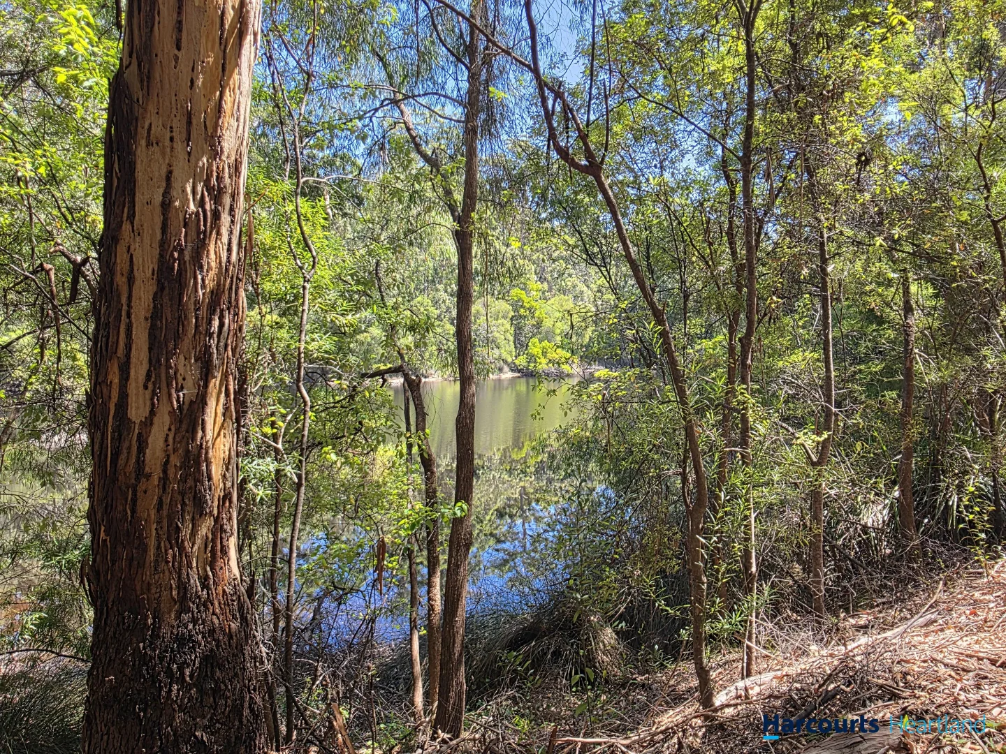 Additional image 9 of Lot 97 Karri Lane, Quinninup WA 6258