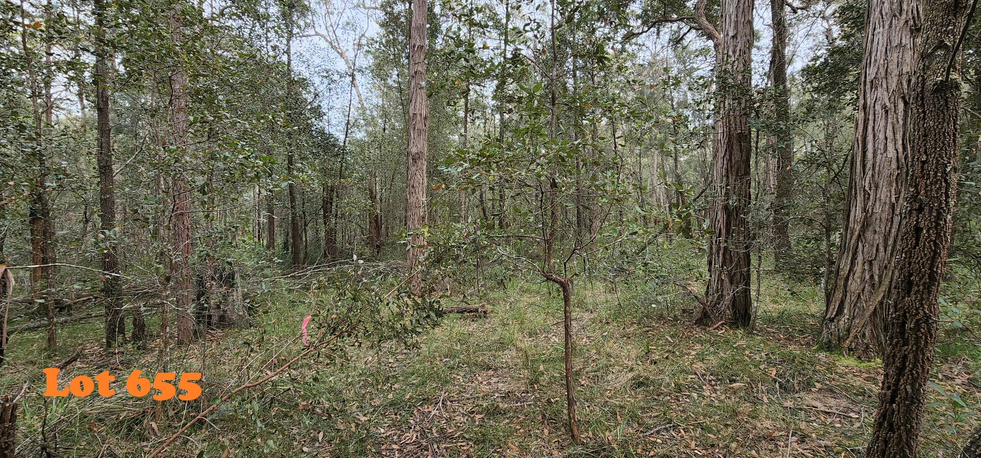 Image 10