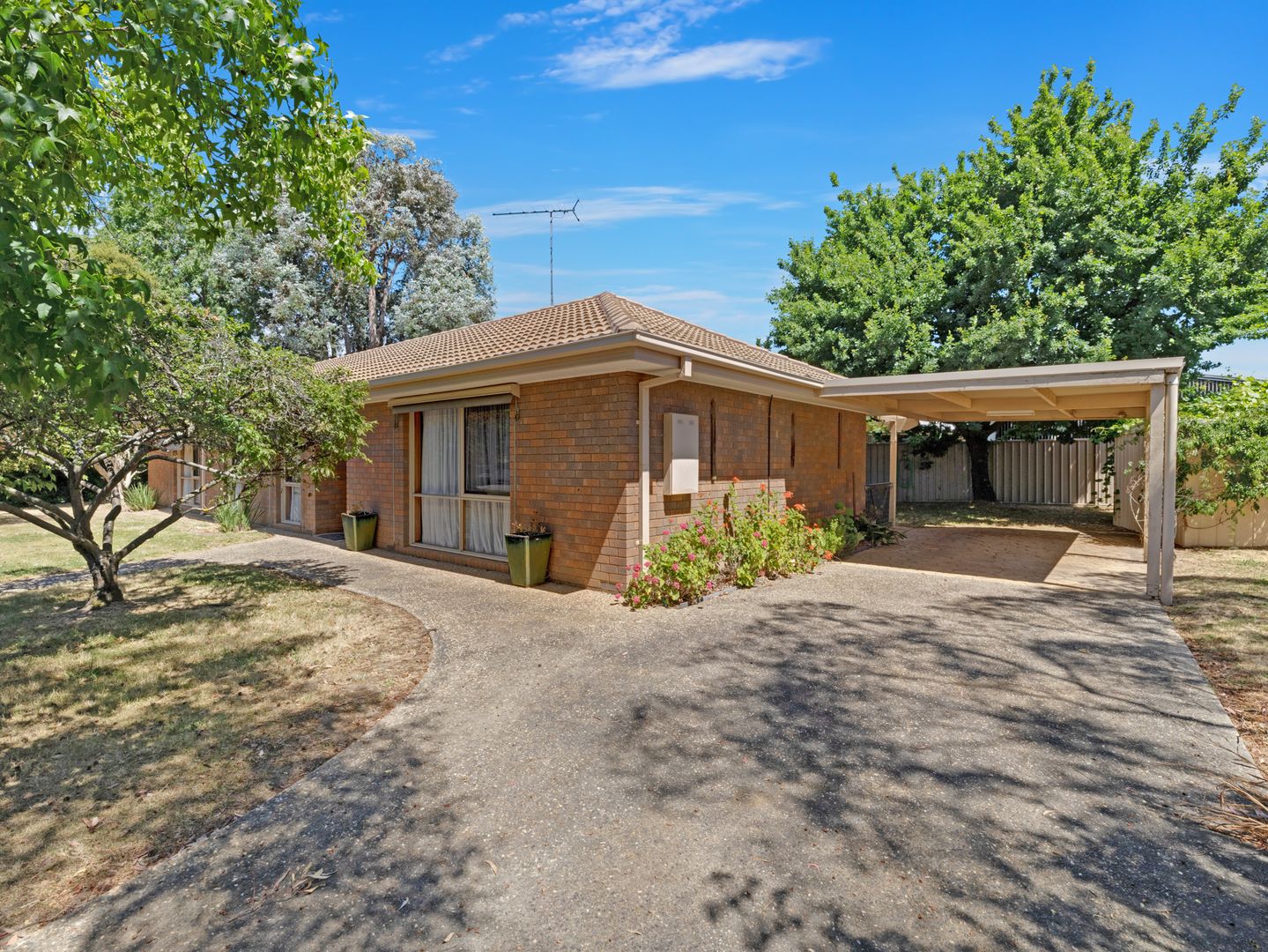 10 Grace Court, Wangaratta VIC 3677 Domain