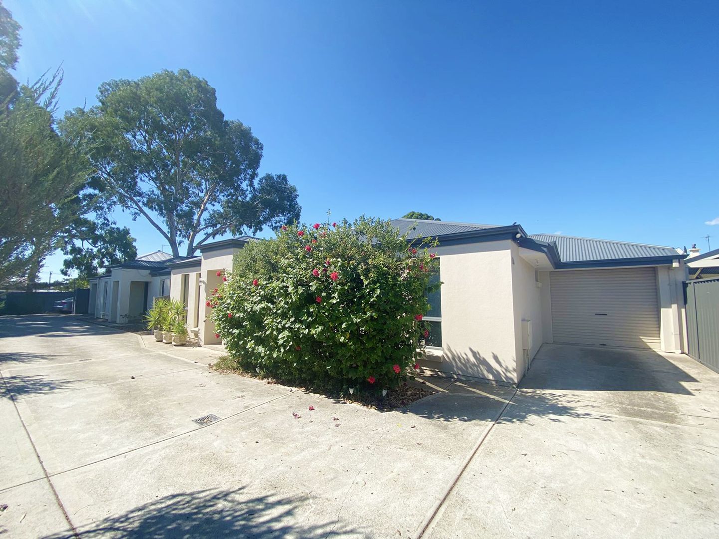 9A Sixth Avenue, Ascot Park SA 5043 House For Rent Domain