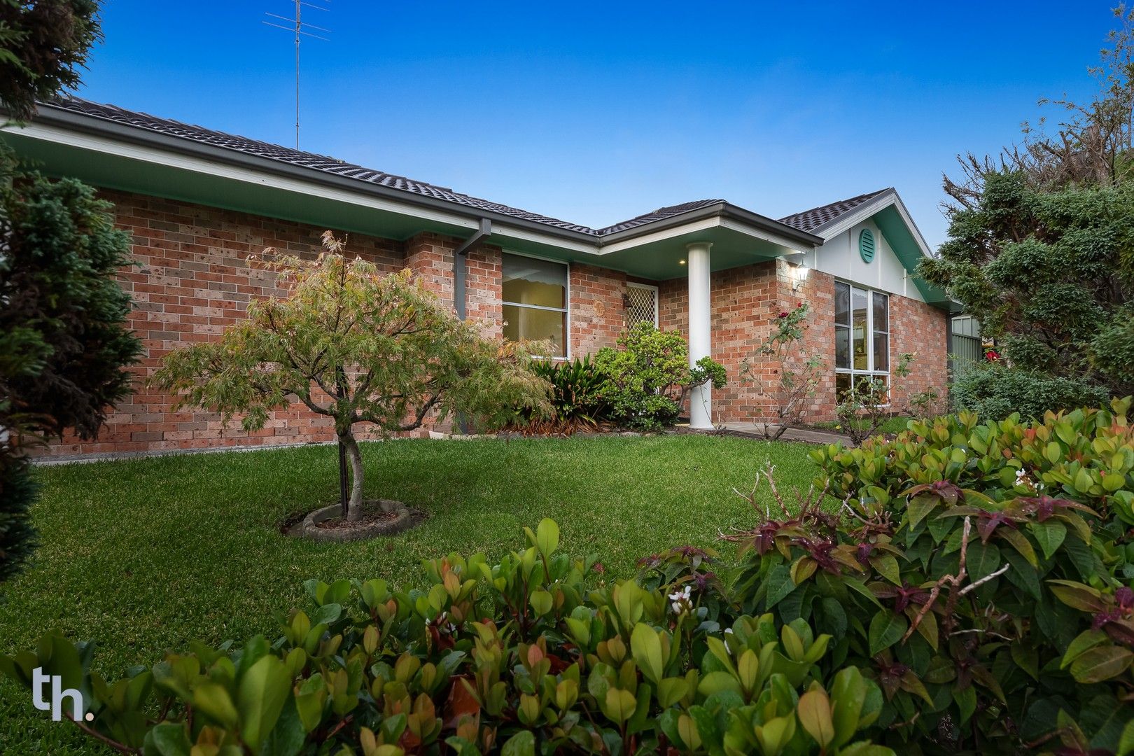 6 Saxon Street, Cameron Park NSW 2285, Image 0