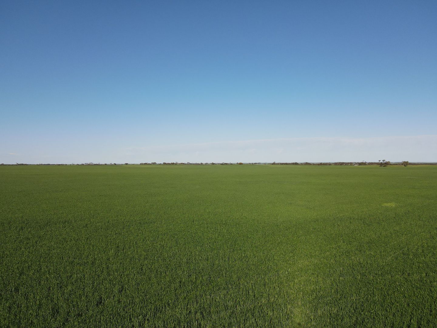 'Glen Park' 663 Mundoora Boundary Road, Mundoora SA 5555 House for Sale