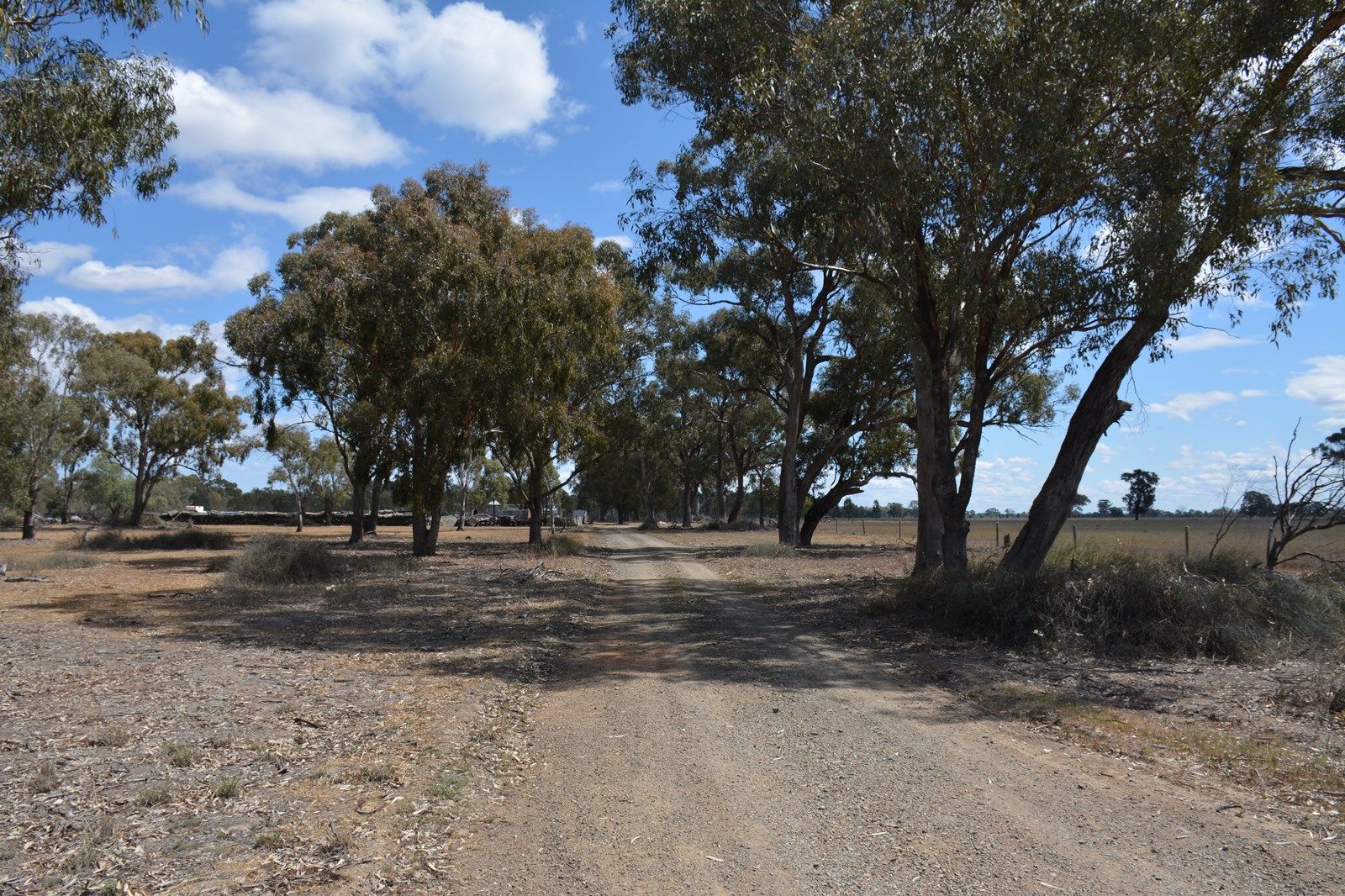 1375 Walshs Bridge South Road, Waaia VIC 3637, Image 1