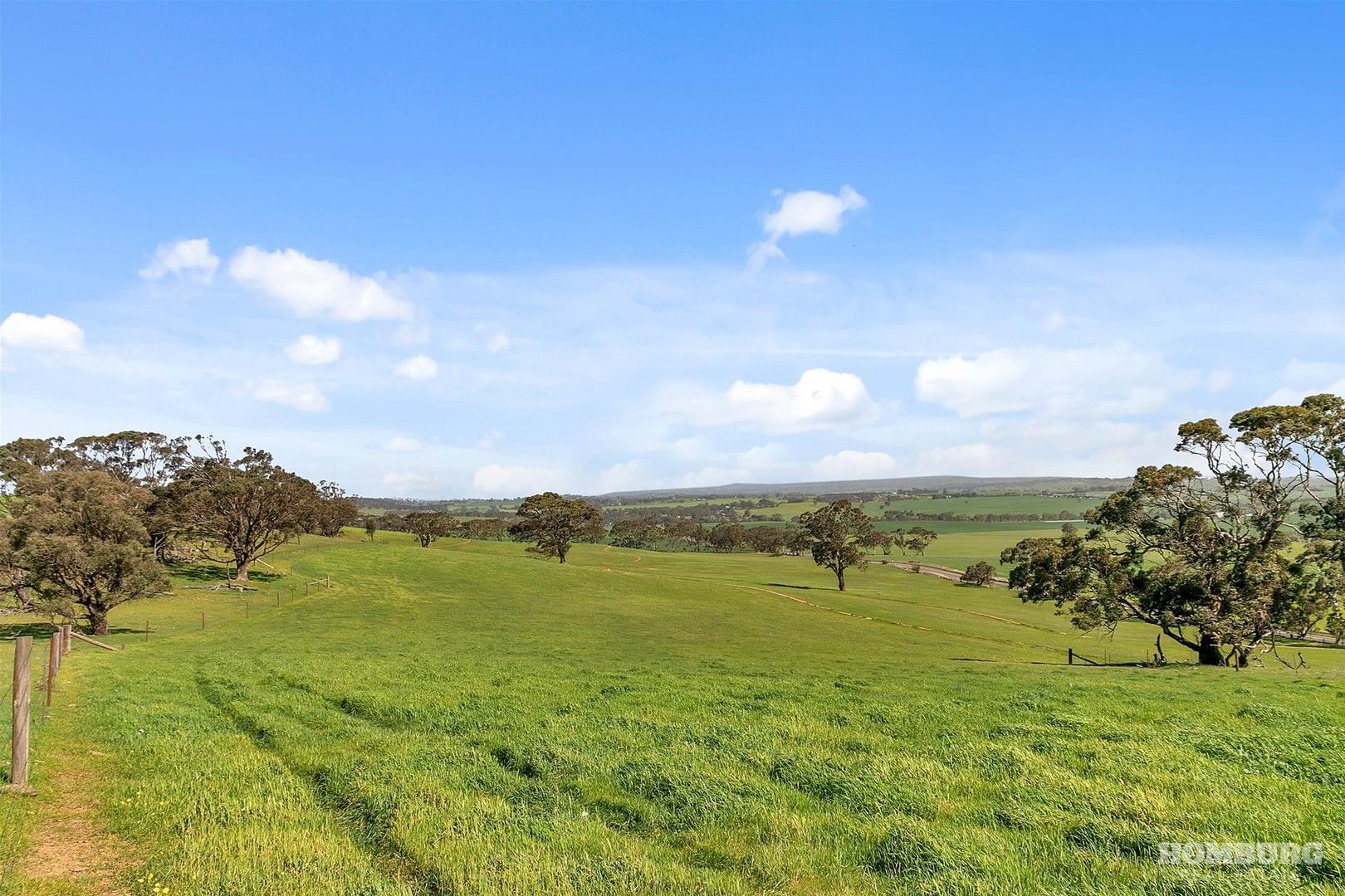 Lot 3004 Duck Ponds Road, Moculta SA 5353, Image 0