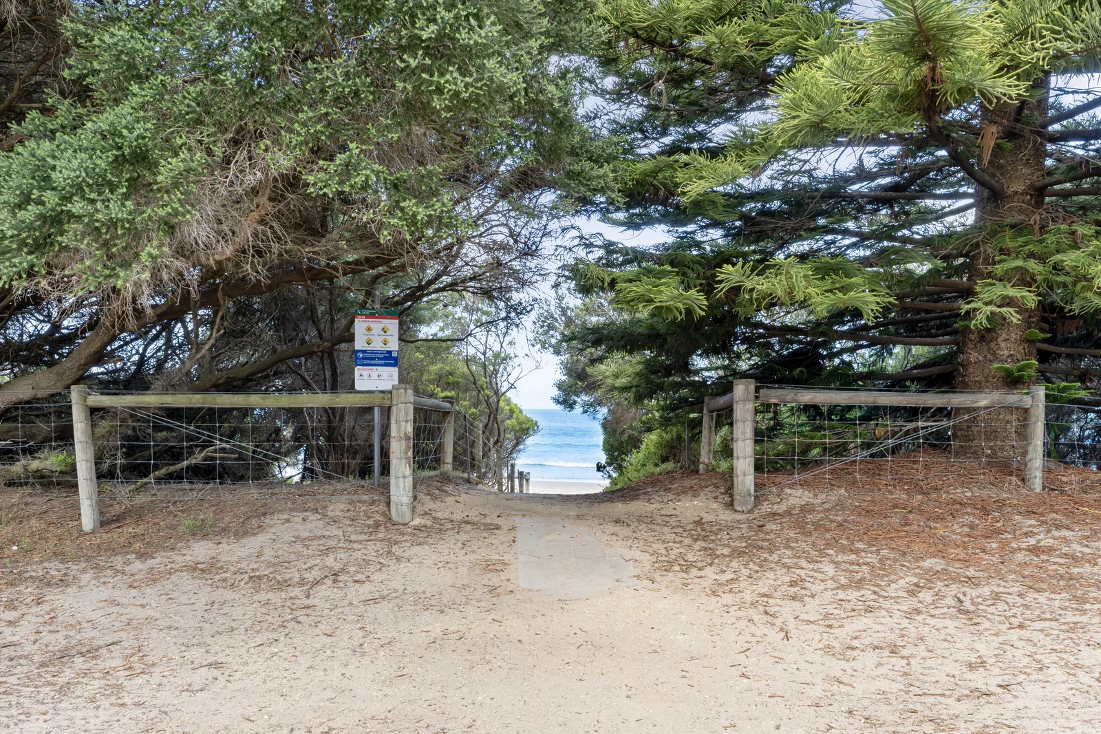 Image 11