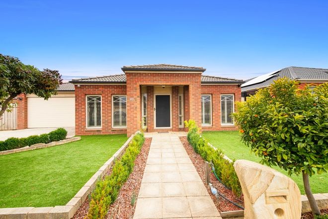 Picture of 82 Inglewood Drive, BURNSIDE HEIGHTS VIC 3023