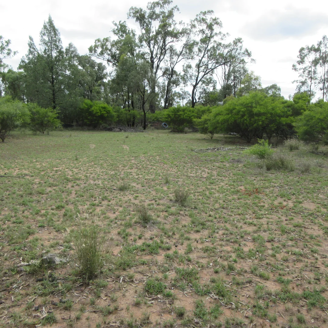 Additional image 15 of Tara QLD 4421