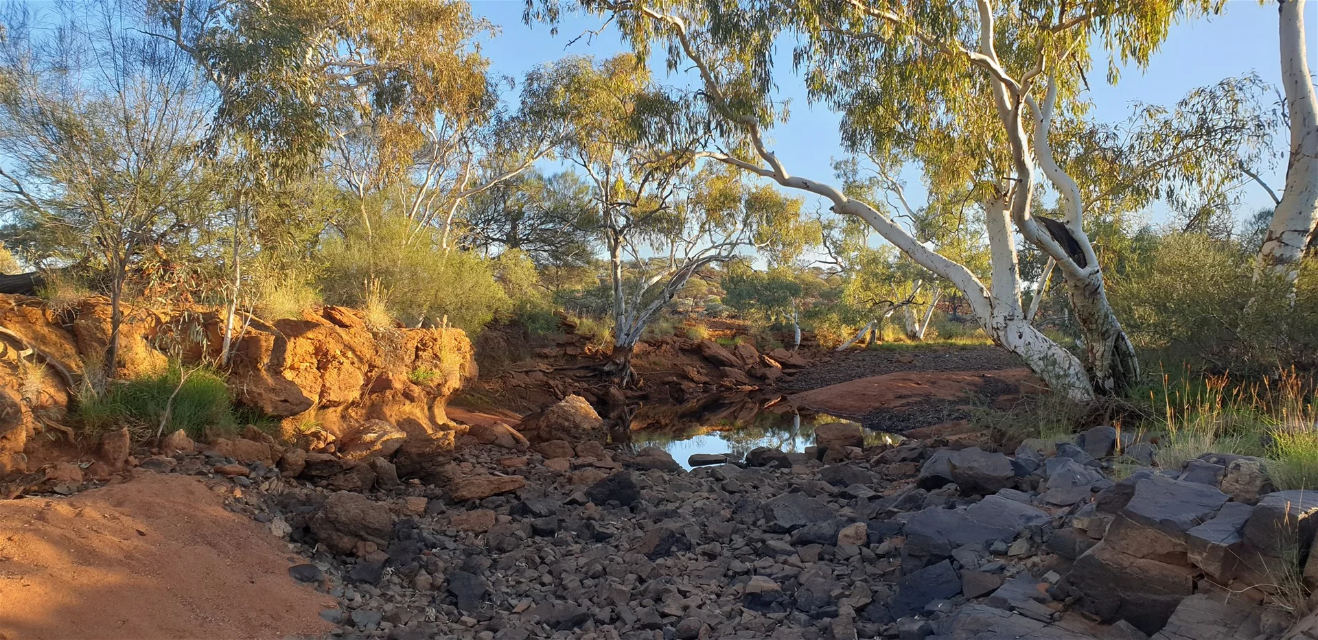 Image 13