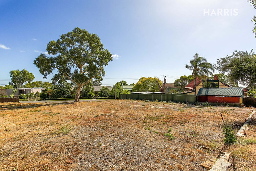 Lot 121 Glenburnie Avenue, Torrens Park SA 5062, Image 1