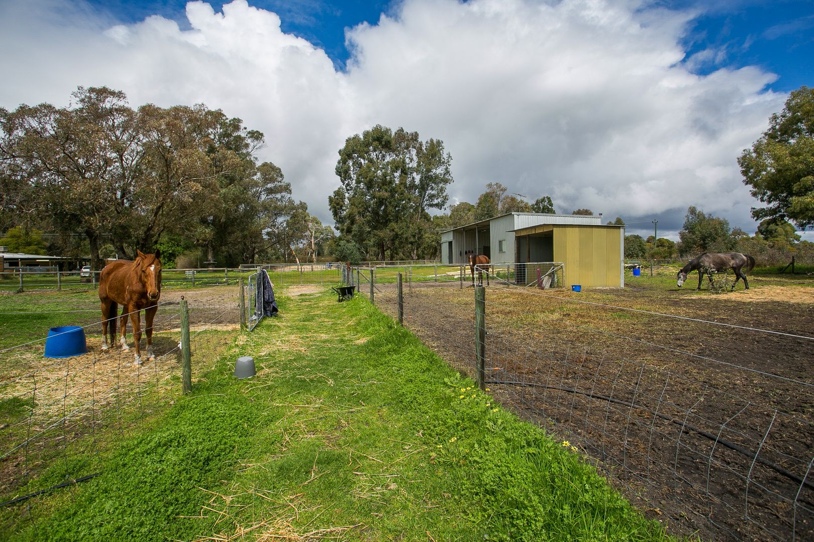 40 Fewster Street, Muchea WA 6501 House For Sale Domain