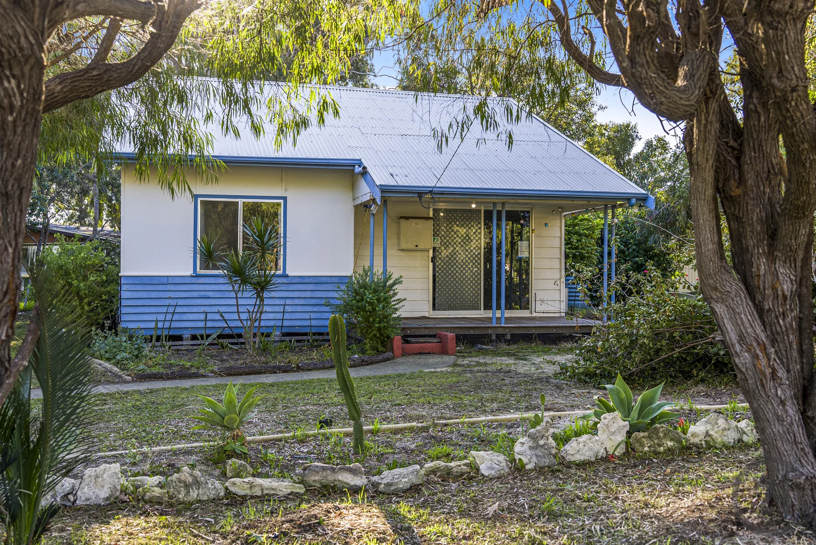 Image 4