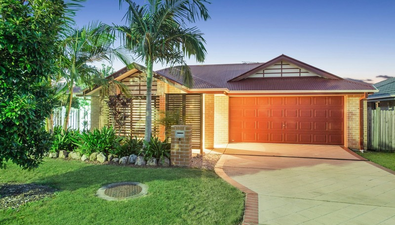 Picture of 4 Moorhen Street, COOMERA QLD 4209