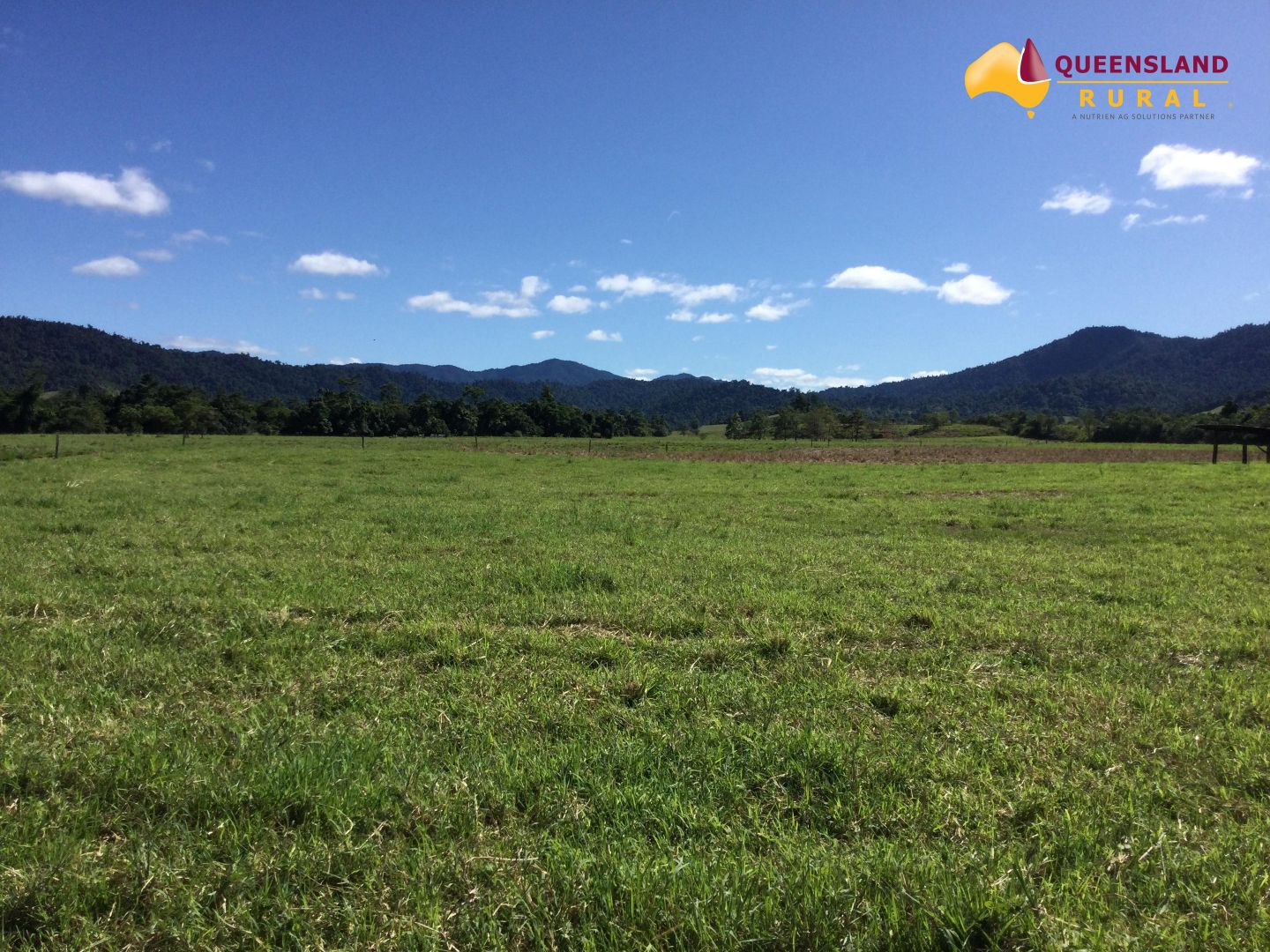 Seres Road, Mena Creek QLD 4871, Image 2