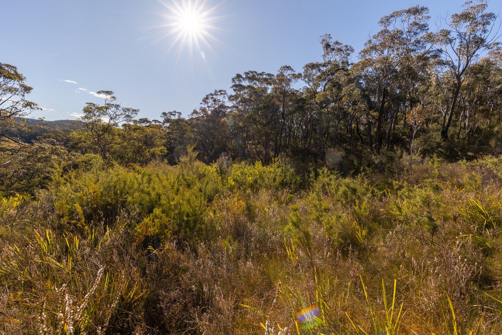 141 Kent Street, Bullaburra NSW 2784 Vacant Land for Sale Domain
