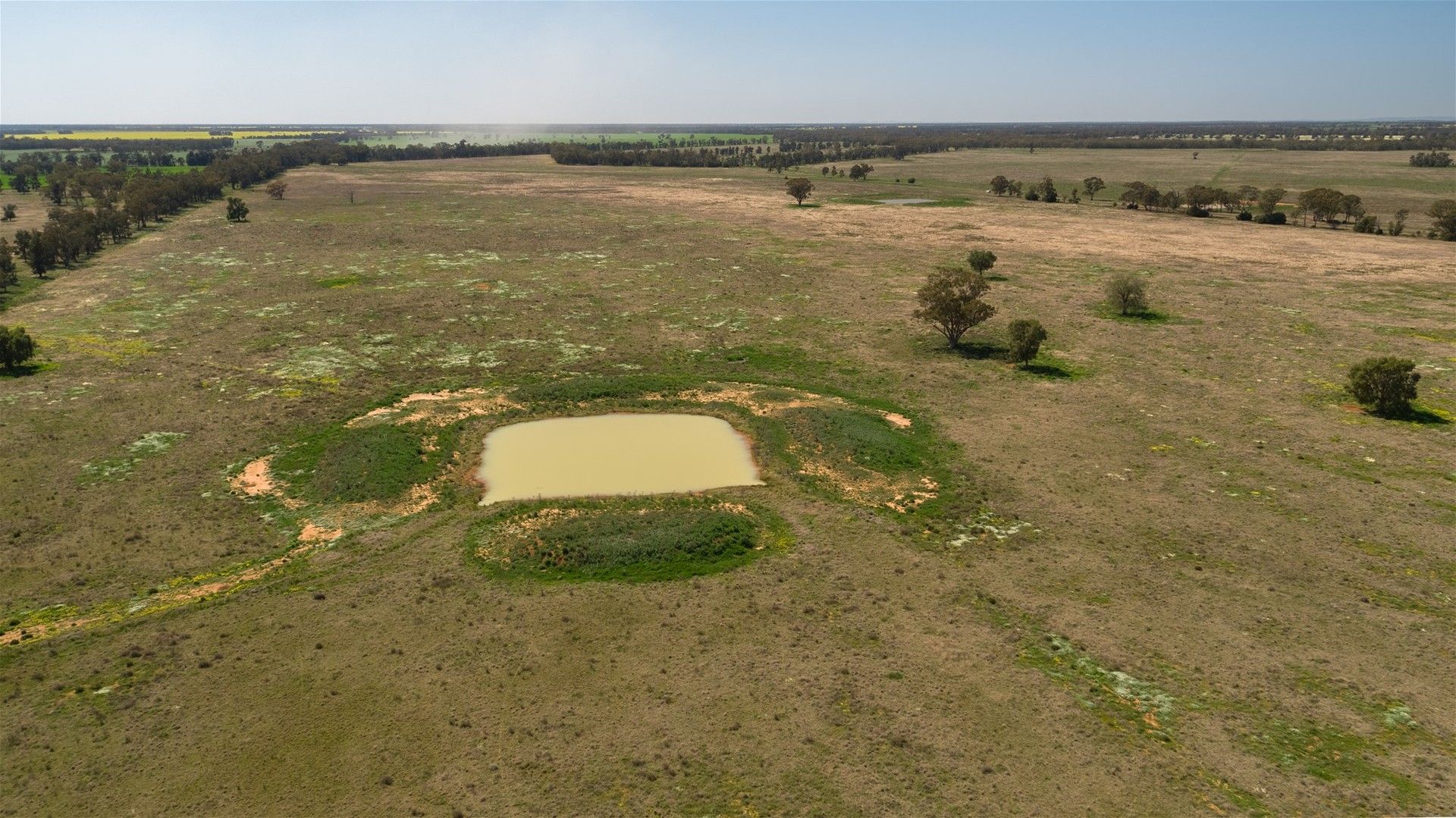 "PART OMAGH" Alagalah Road, Tullamore NSW 2874, Image 0