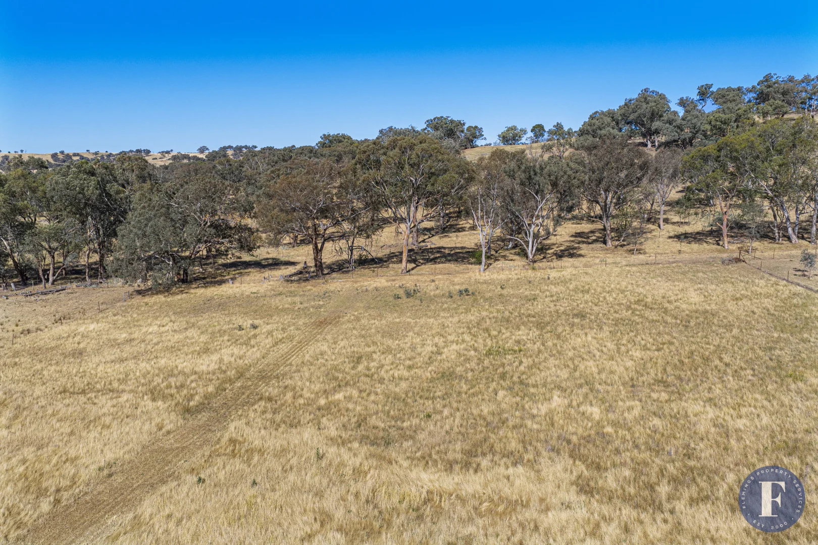 Image 13