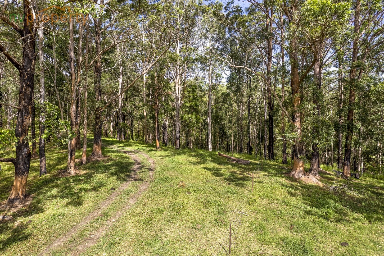 Lot 1592 Gossons Lane, Utungun NSW 2447, Image 2