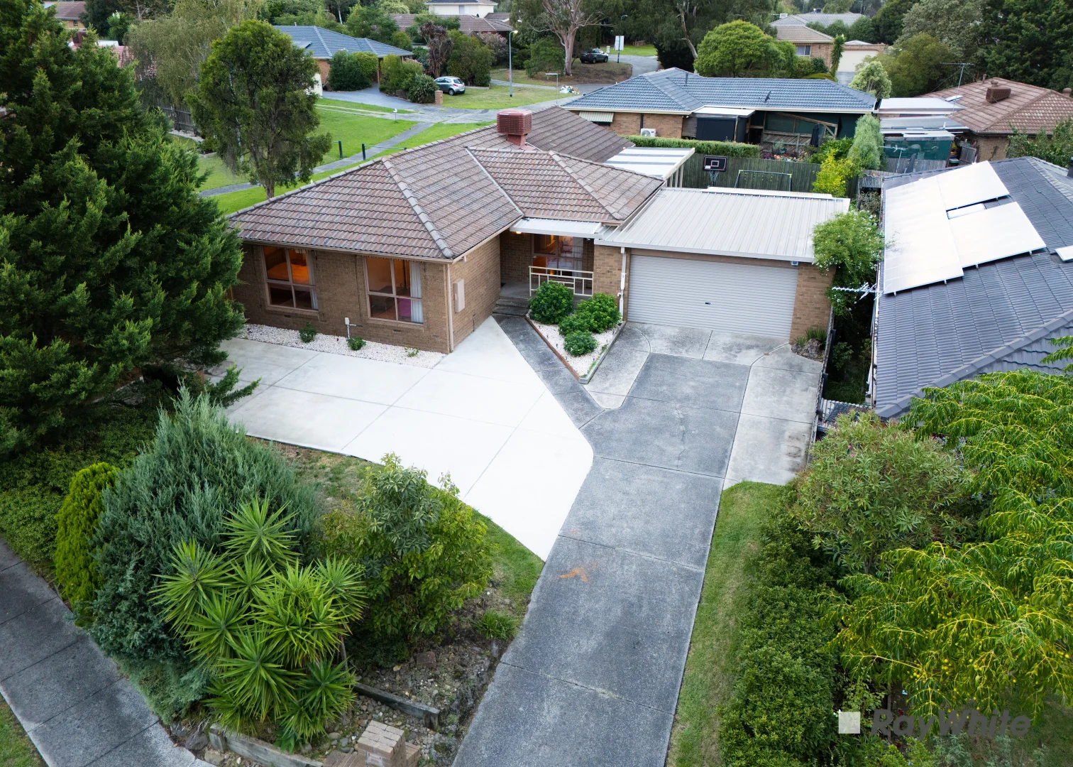 Image 13