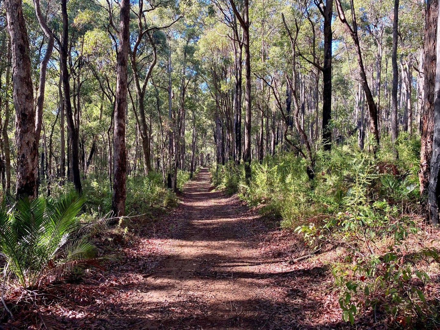 Lot 22 Oro Road, Dwellingup WA 6213, Image 0