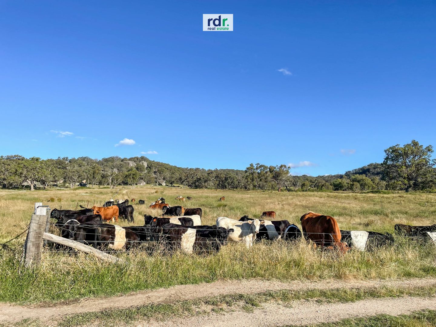 Lot 4/189 Balala Road, Balala NSW 2358, Image 1