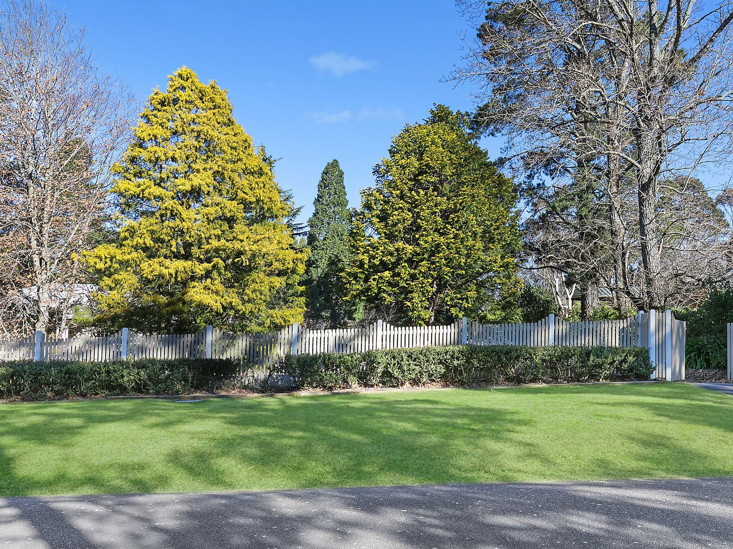 43 Toulon Avenue, Wentworth Falls NSW 2782, Image 1