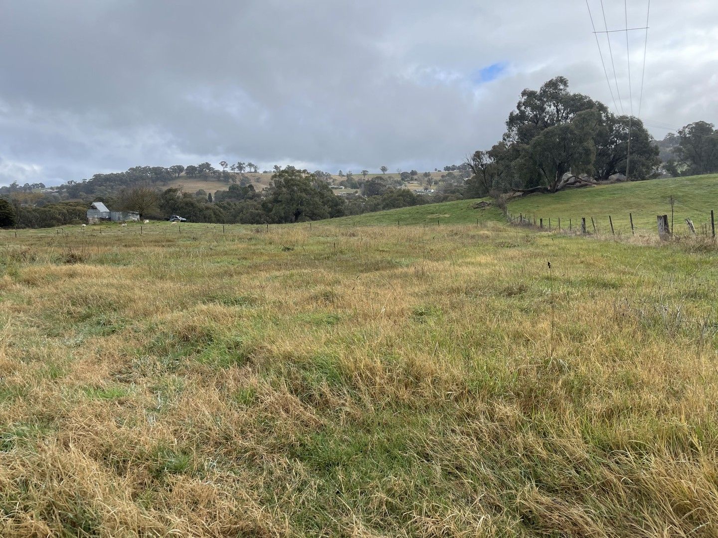 Lot 1 Pine Lane, Tumbarumba NSW 2653 Domain