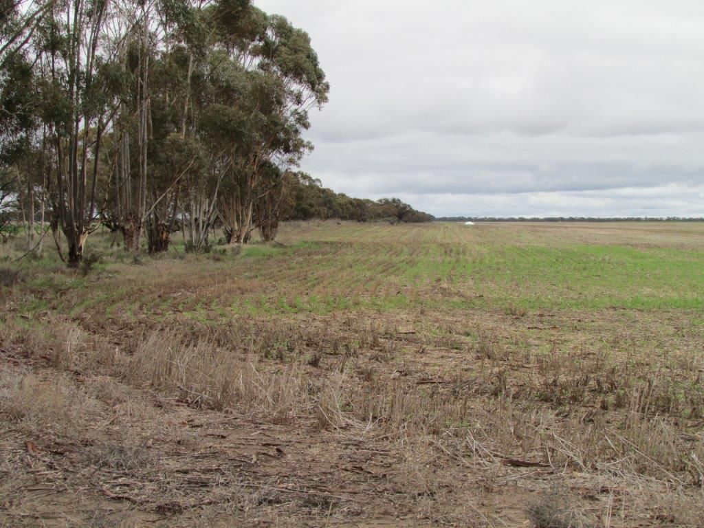 21A Schilling Rd, Rainbow VIC 3424 House for Sale Domain