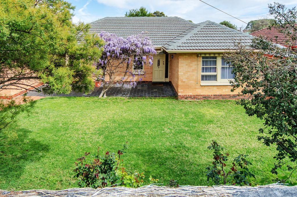 36 Ripon Road, Clarence Park SA 5034, Image 0