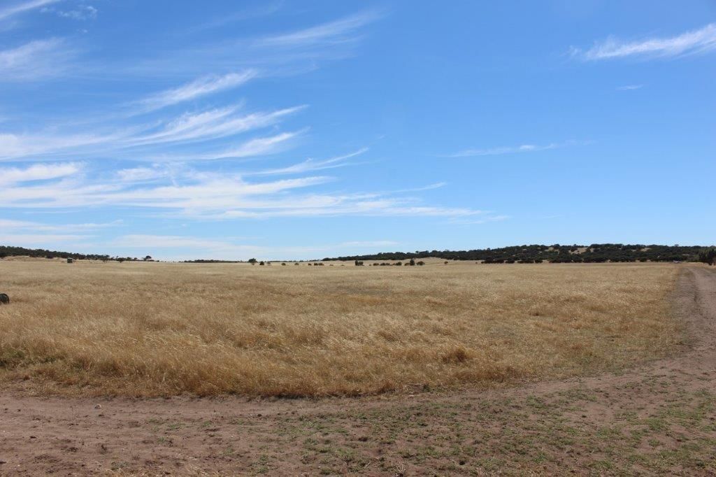 Lot 53 Steele Road, Bonniefield WA 6525, Image 2