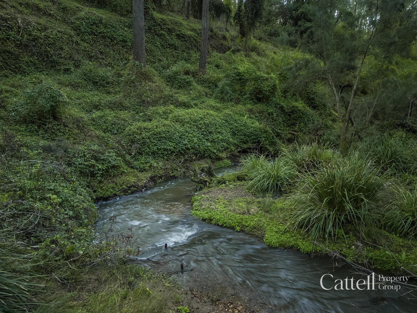 Image 11