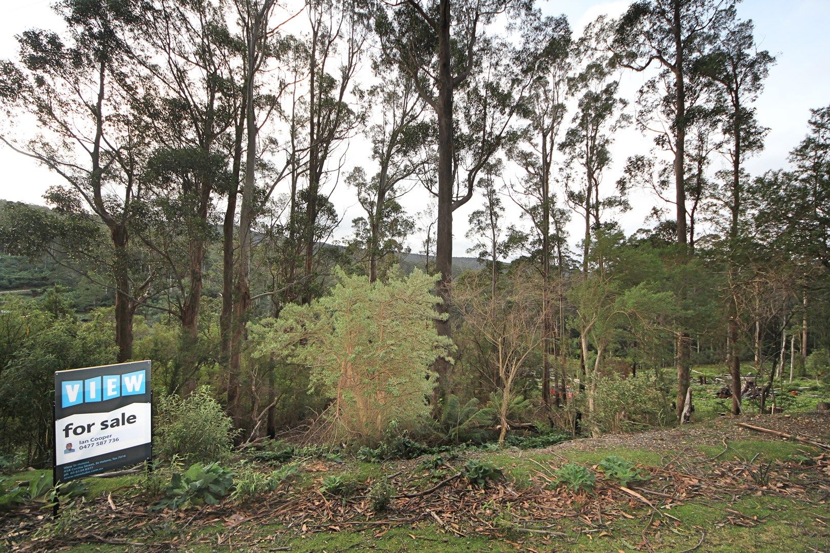 Lot 9 Lottah Road, Lottah TAS 7216, Image 0