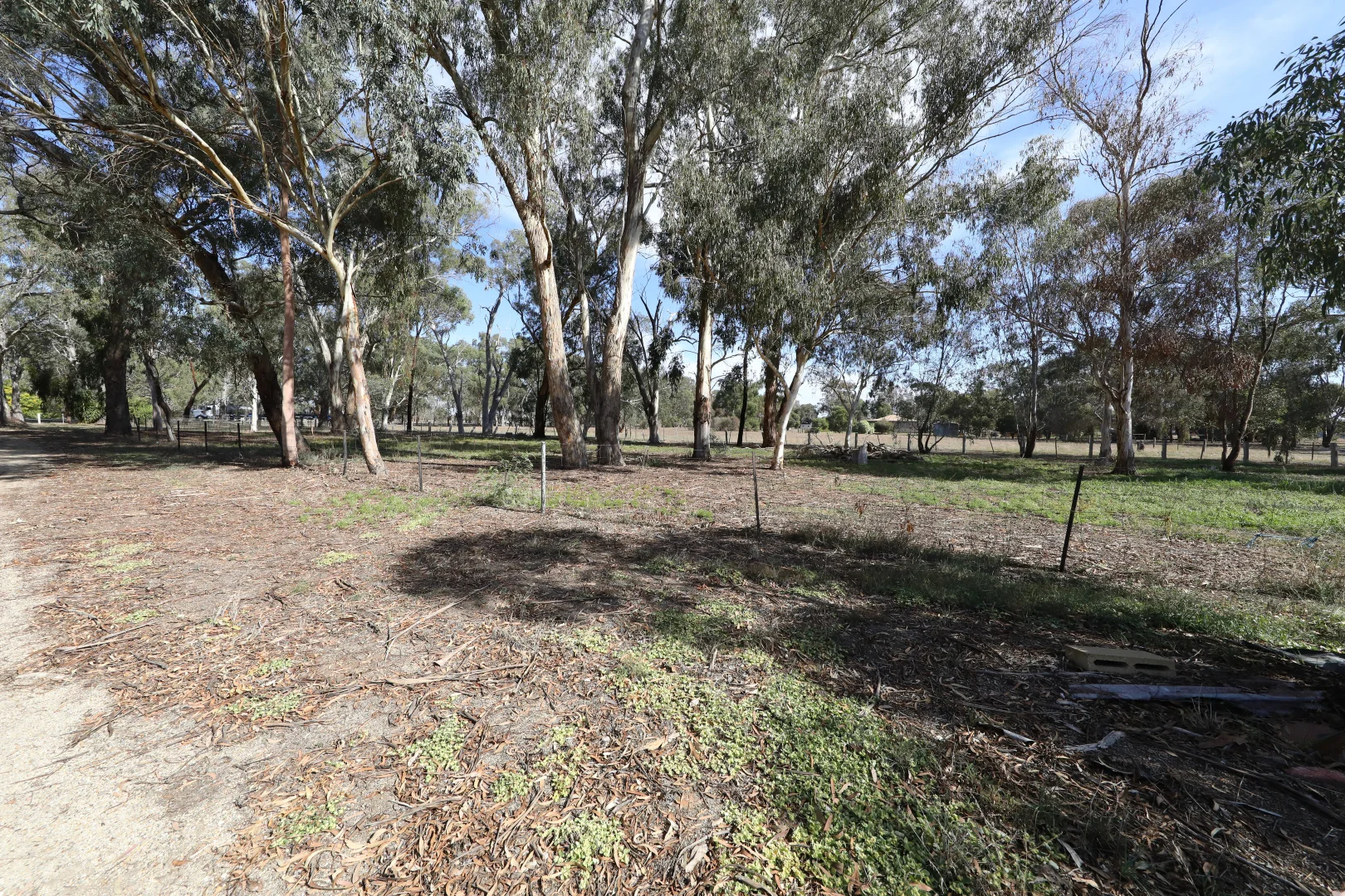 Image 15