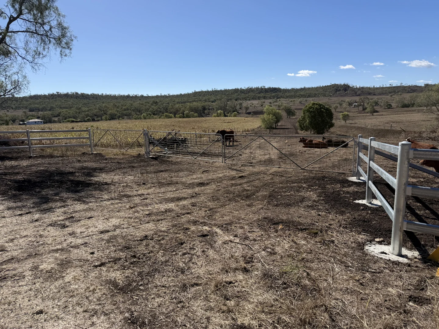Image 15