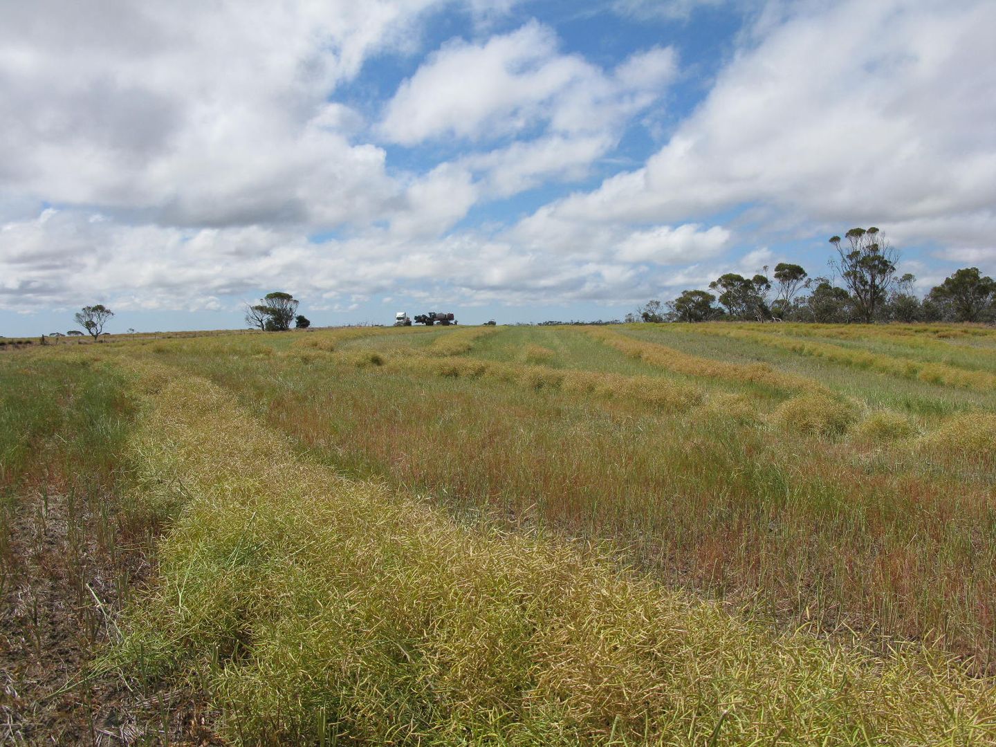 467 Kelly Road, North Stirlings WA 6338, Image 2