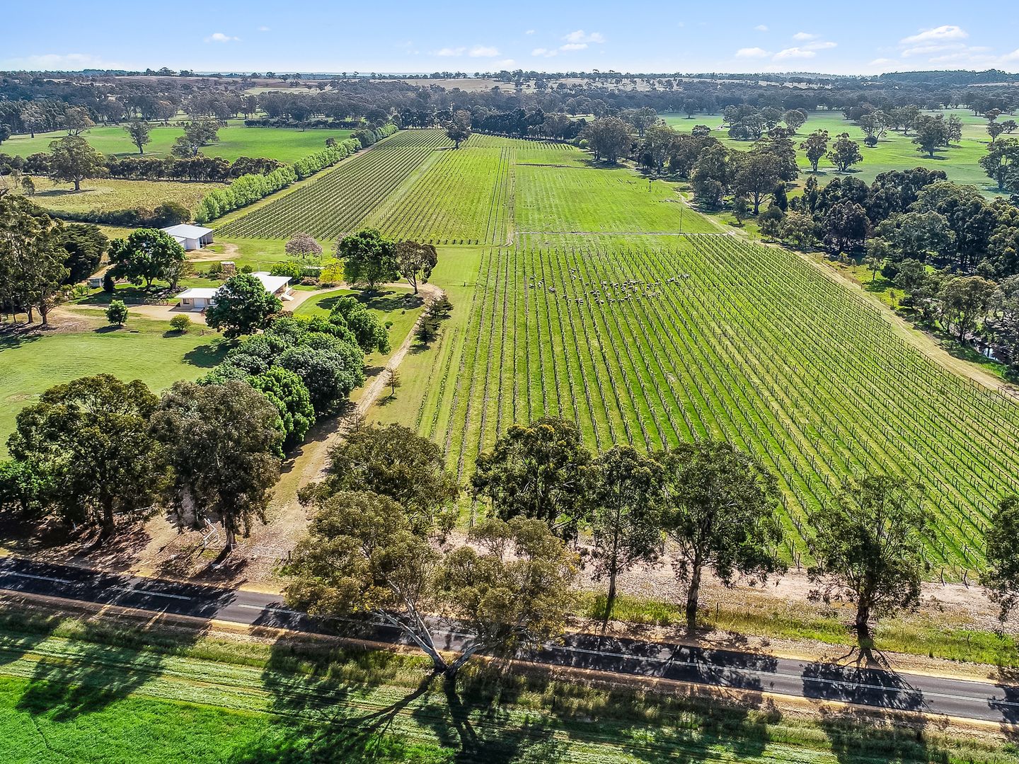 675 Cadgee Road, Naracoorte SA 5271, Image 2