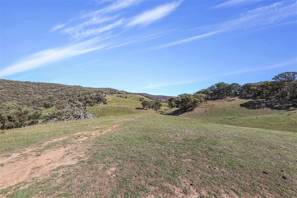 Additional image 11 of Part 1169 Grahamstown Road, Adelong NSW 2729