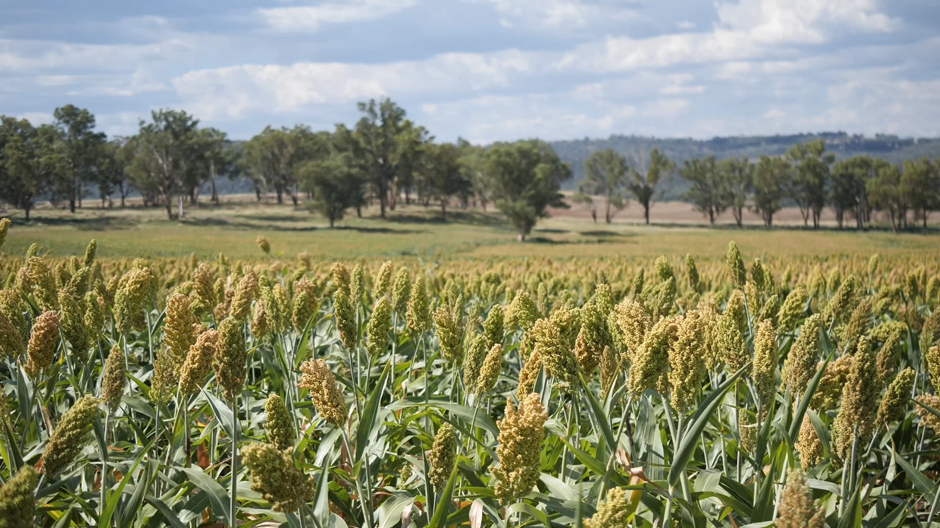 Additional image 20 of "Rivendell" 698 Woodstock Road, Inverell NSW 2360