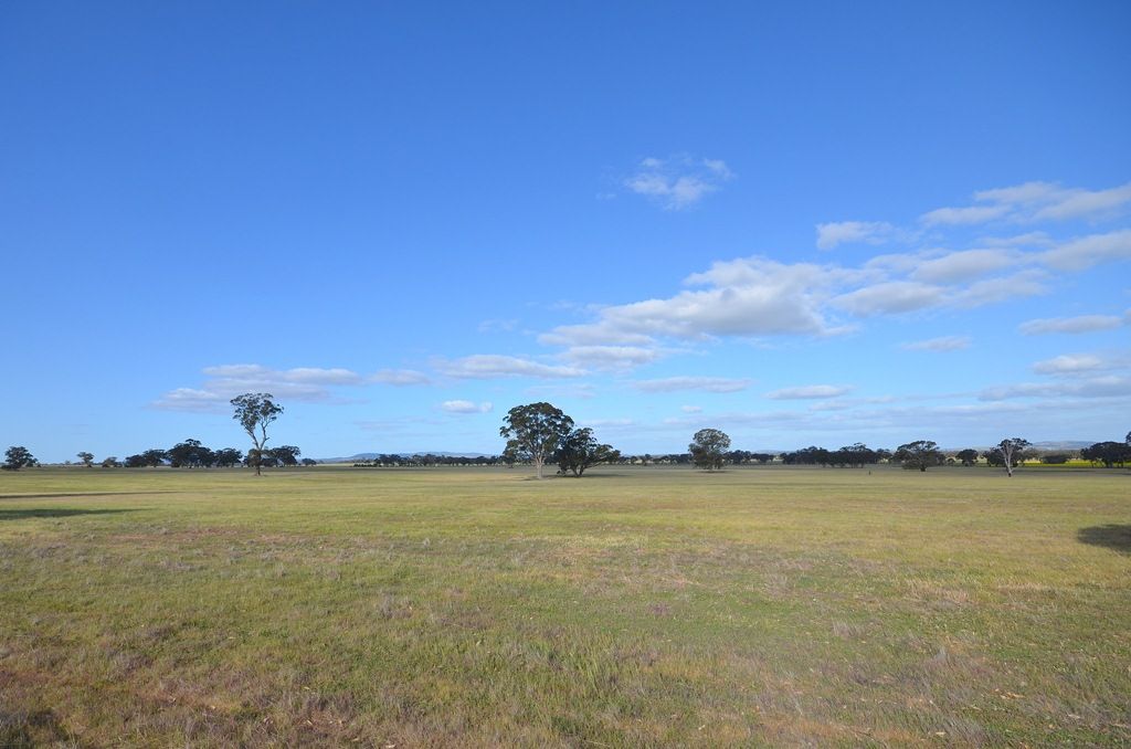 Moyreisk North Road, NATTE YALLOCK VIC 3465, Image 2