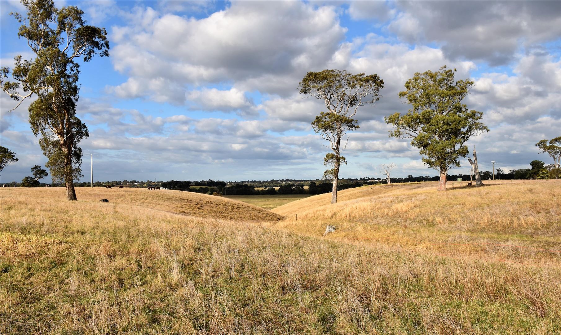 140 Mittons Road, Bairnsdale VIC 3875, Image 2