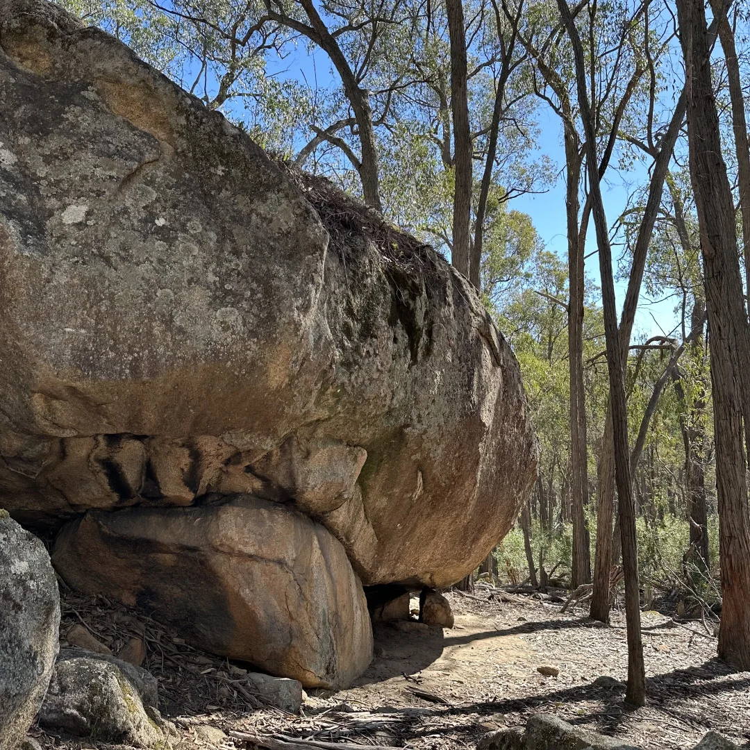 Additional image 10 of 880 Lima East Road, Lima East VIC 3673