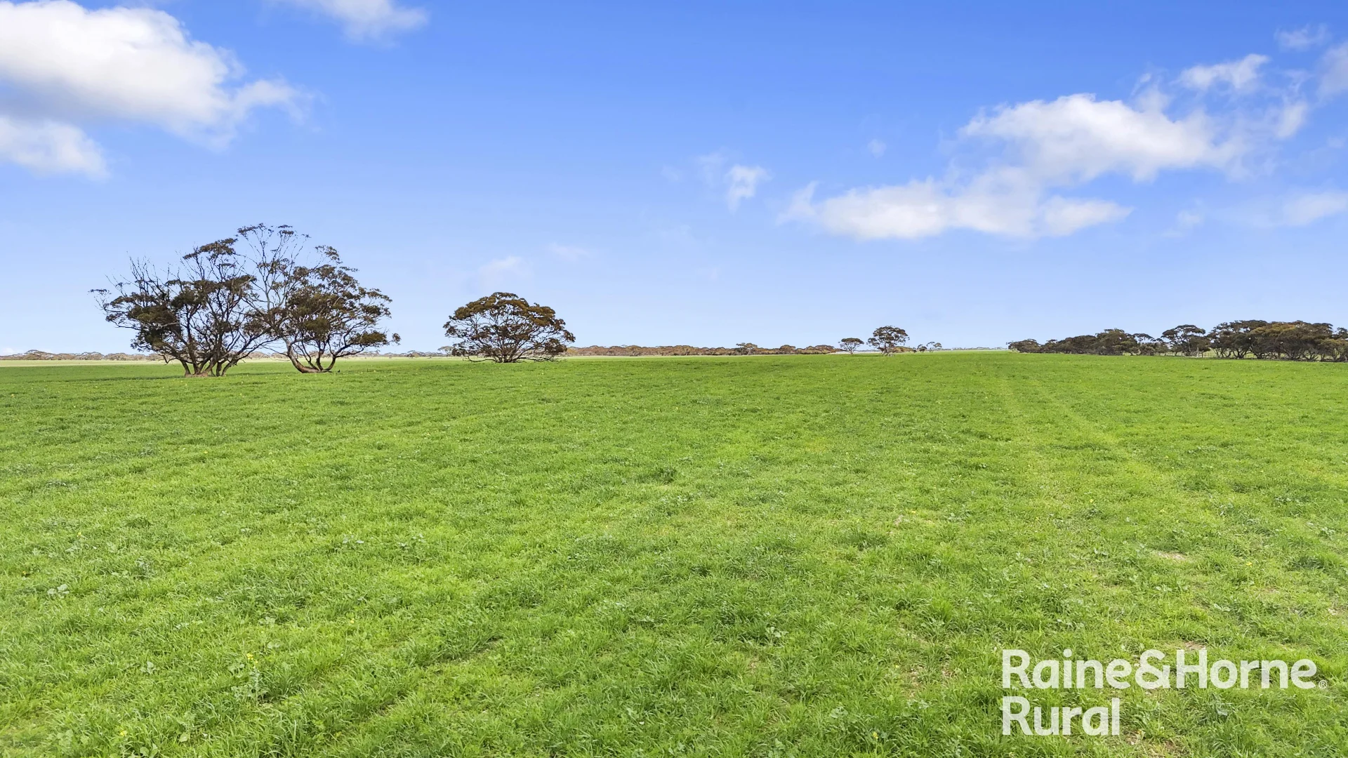 Additional image 17 of 714 Buccleuch South Road, Yumali SA 5261