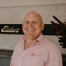 Tim Mackenzie, Sales representative