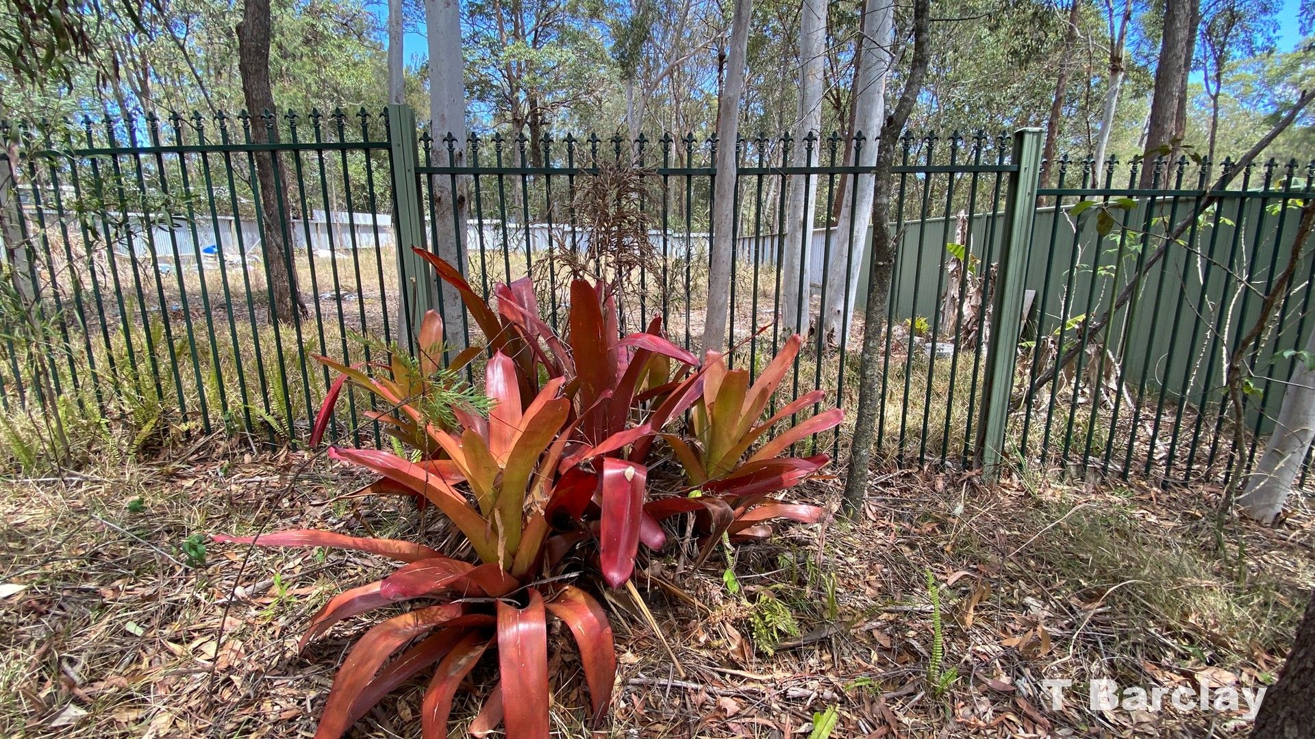 Vacant land in 28 Shore St, RUSSELL ISLAND QLD, 4184