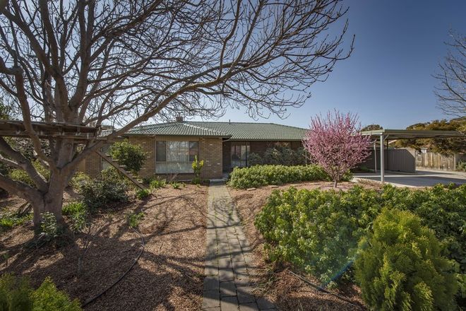 Picture of 19 Forwood Street, MONASH ACT 2904